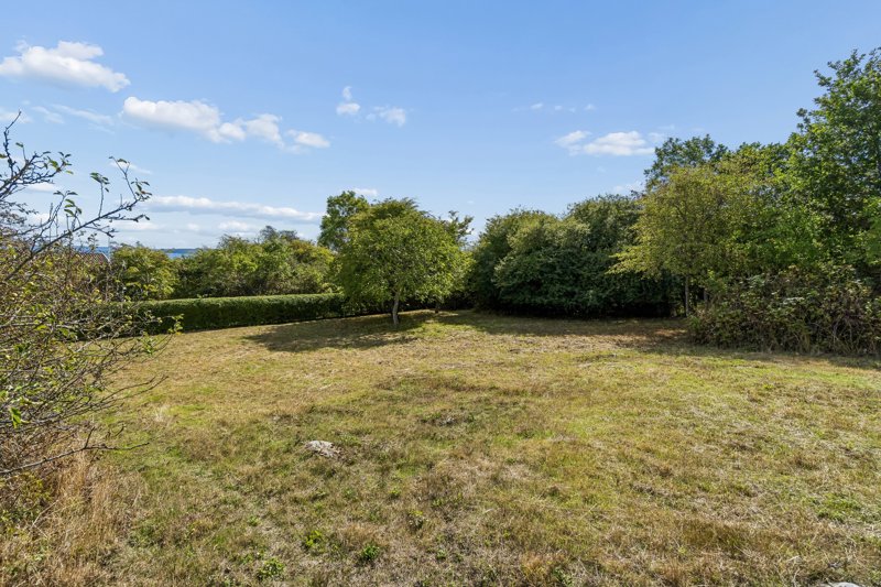 Property image number 6