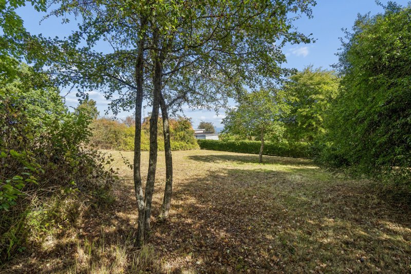 Property image number 7