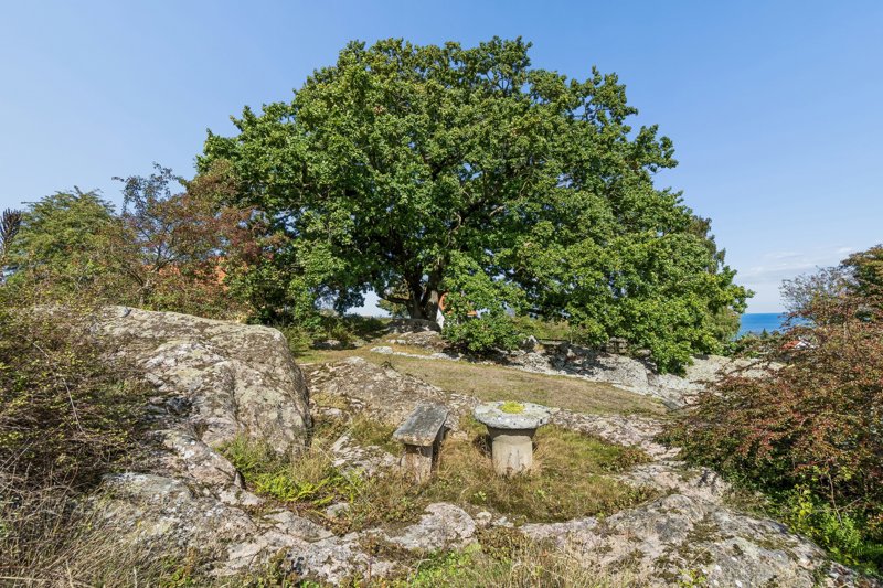Property image number 5