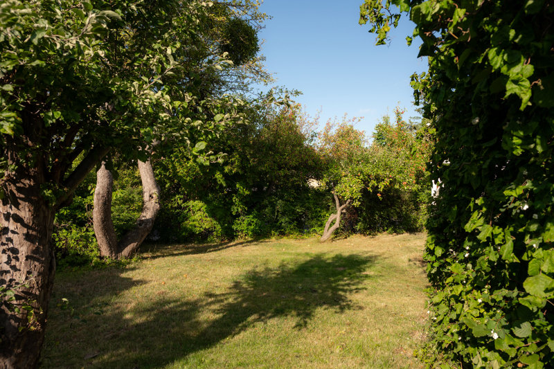 Property image number 4