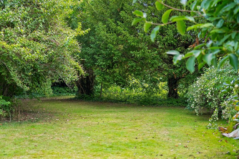Property image number 7