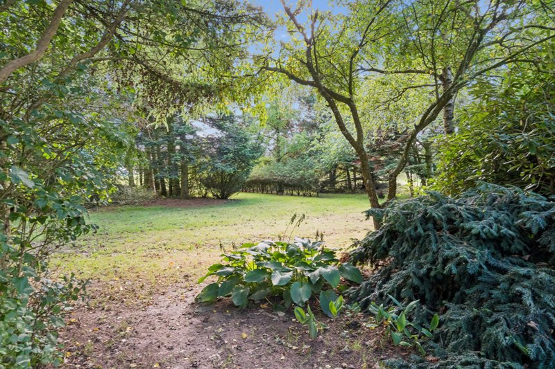 Property image number 4
