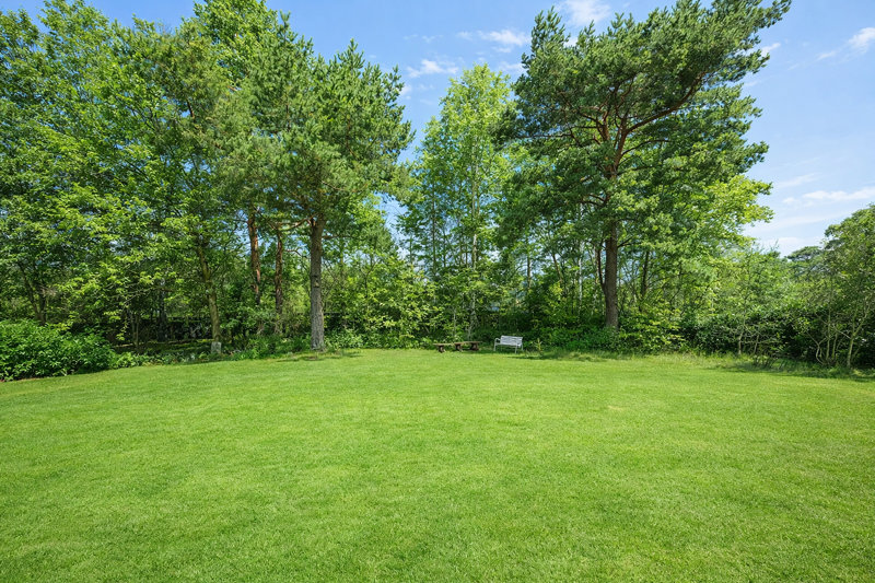 Property image number 4