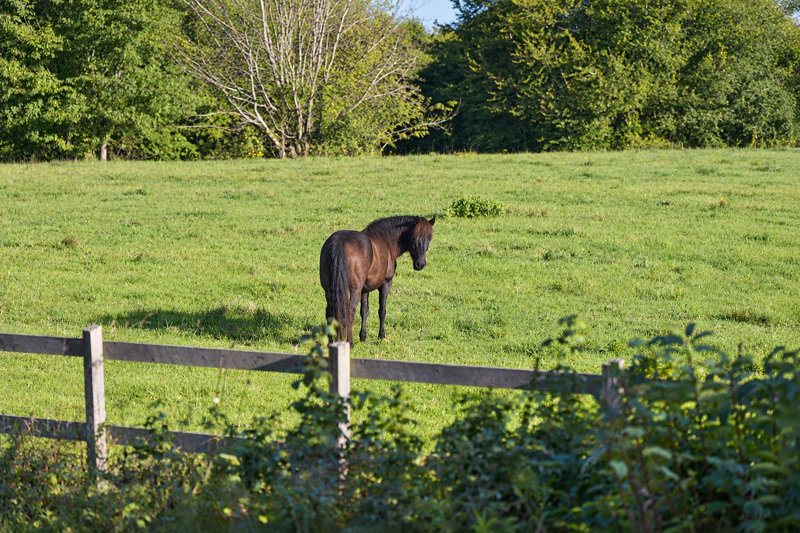 Property image number 4