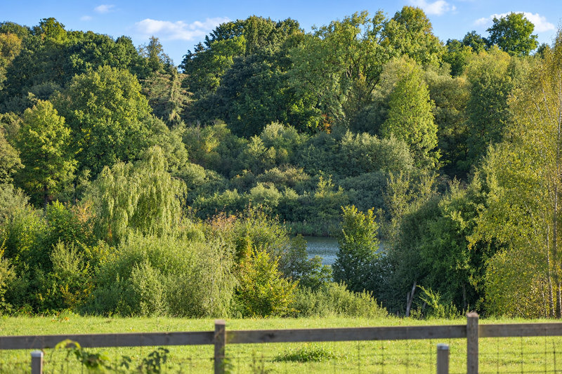 Property image number 8