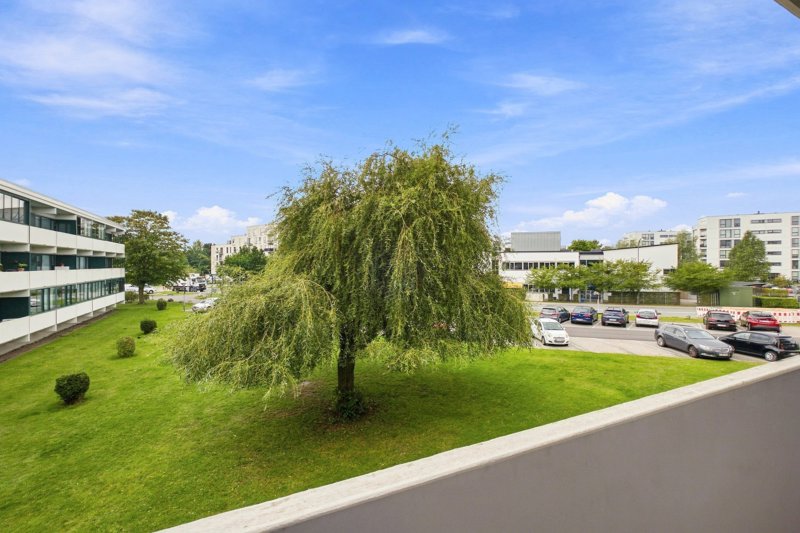 Property image number 2