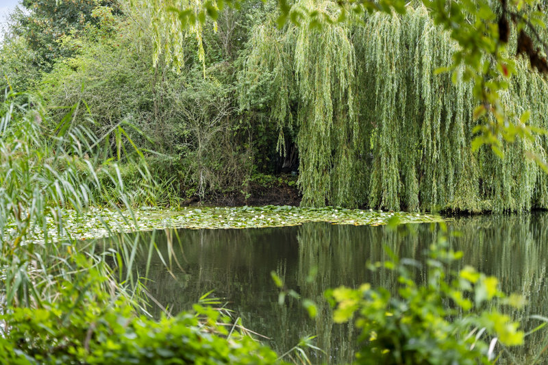 Property image number 5
