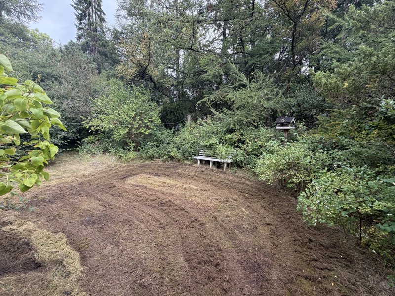 Property image number 12