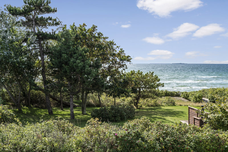 Property image number 11