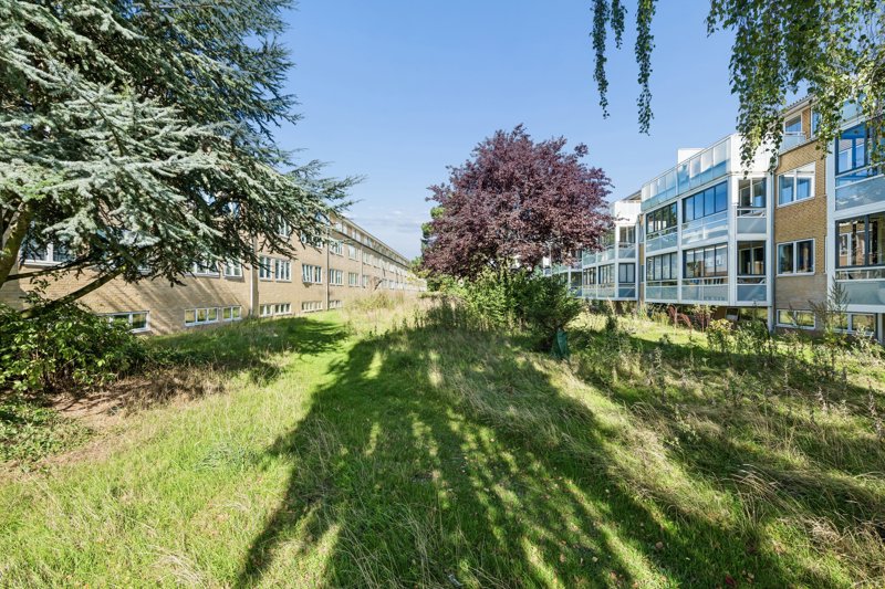 Property image number 10