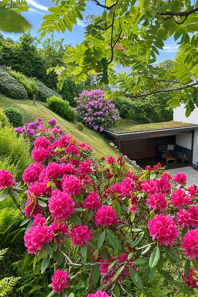 Property image number 9