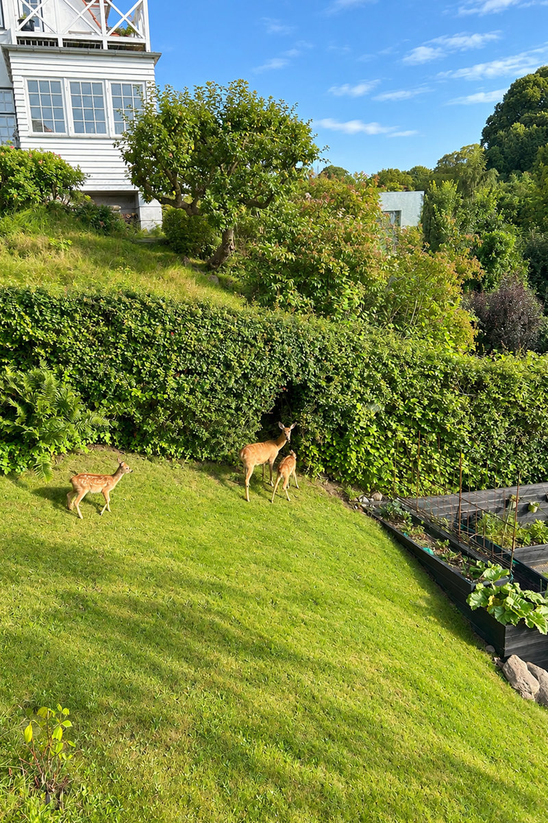 Property image number 10