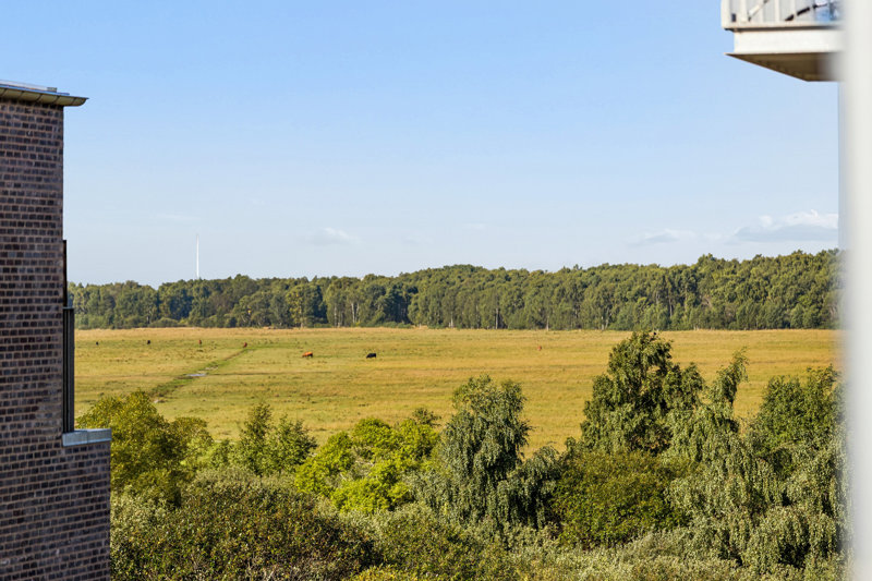 Property image number 5