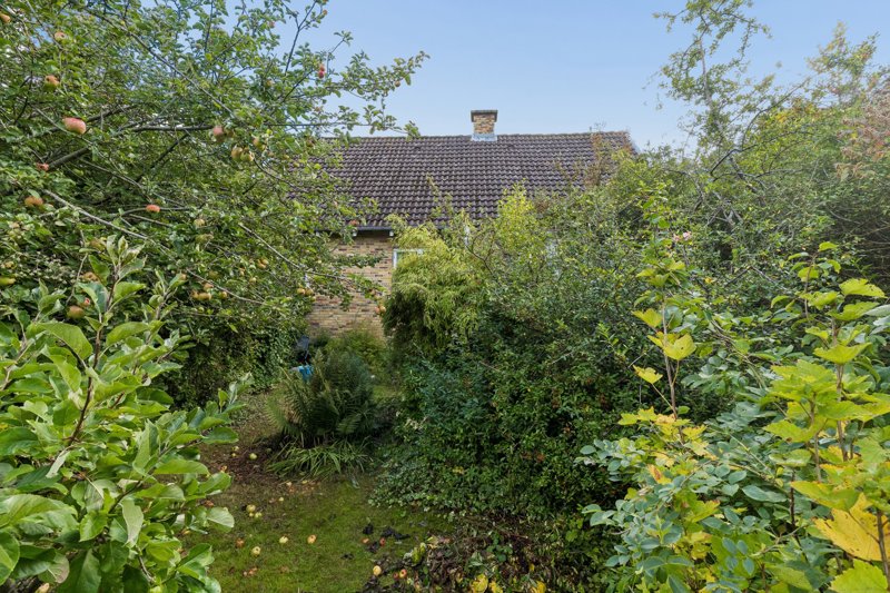 Property image number 4