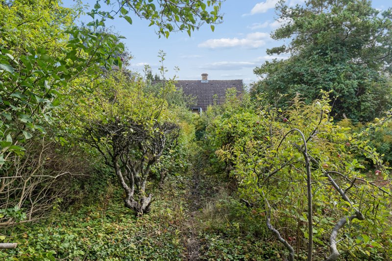 Property image number 3