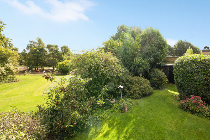 Property image number 4