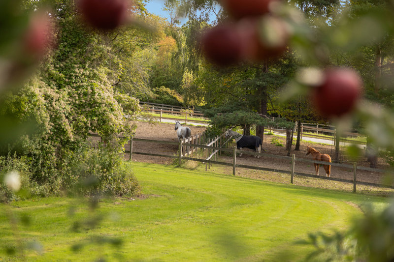 Property image number 3