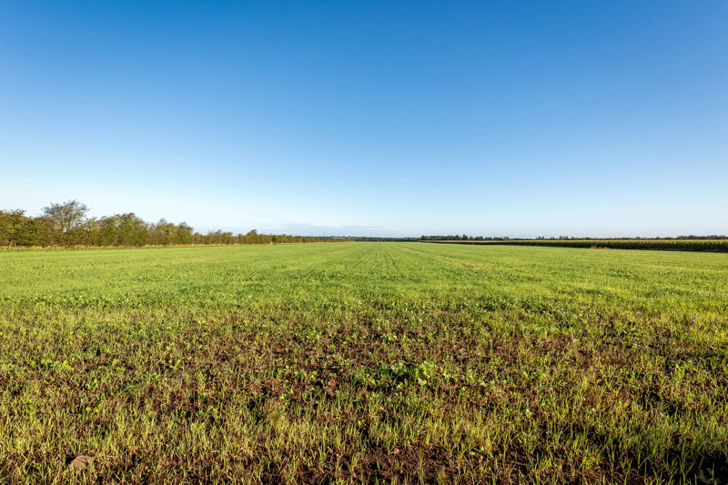 Property image number 6