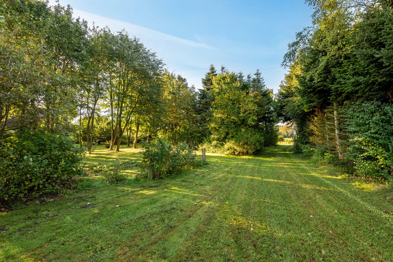 Property image number 4