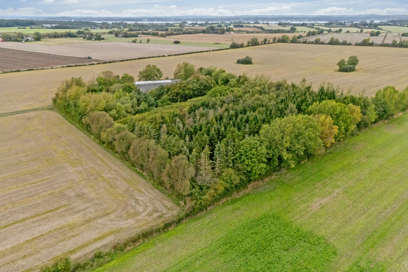 Property image number 6