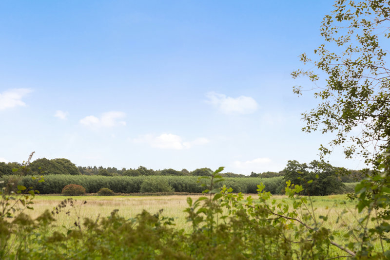Property image number 3