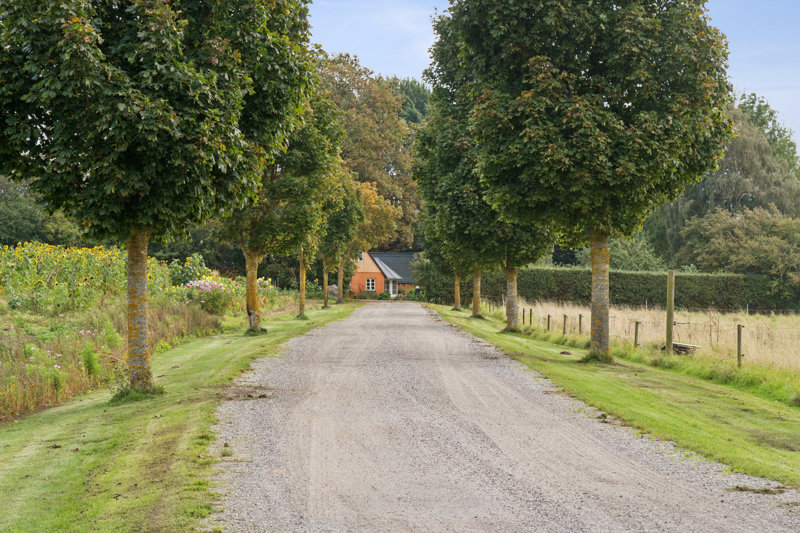 Property image number 5