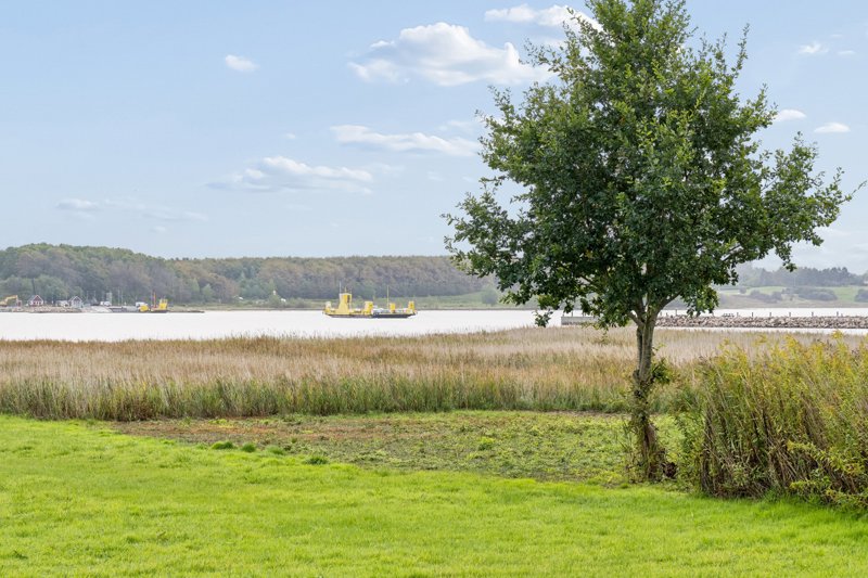 Property image number 4
