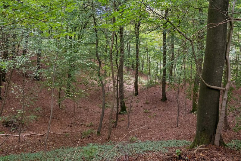 Property image number 2