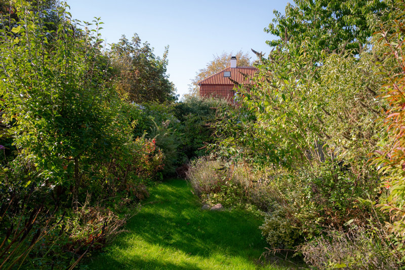 Property image number 3