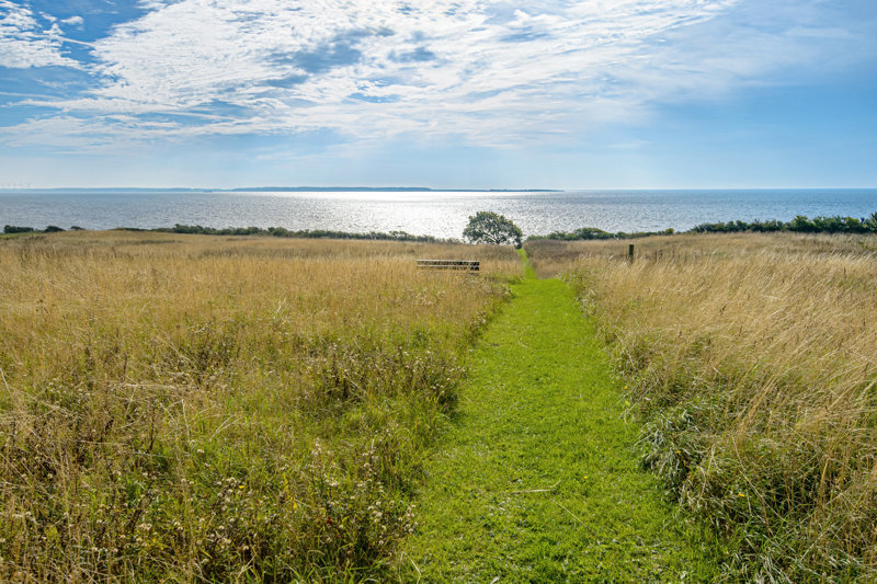 Property image number 4