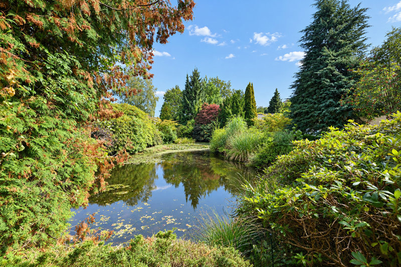 Property image number 10
