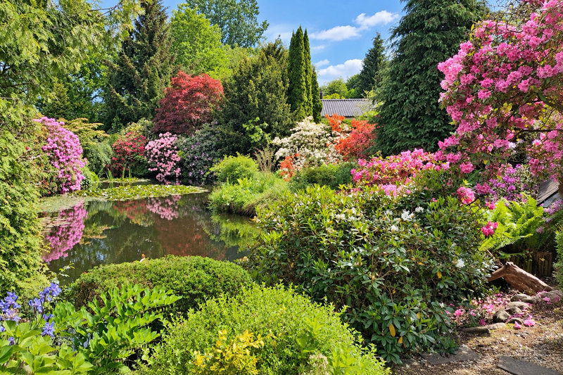 Property image number 9