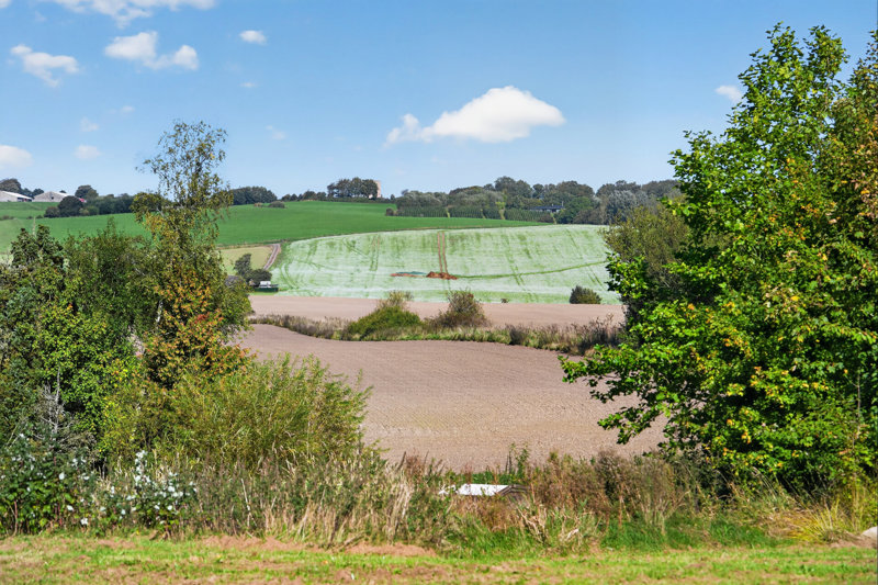 Property image number 2