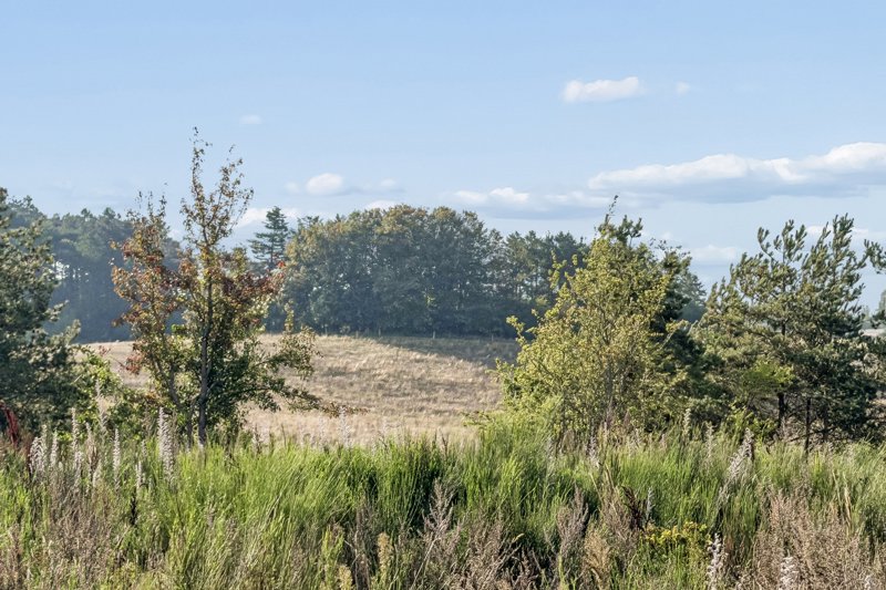 Property image number 10