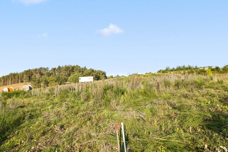 Property image number 5