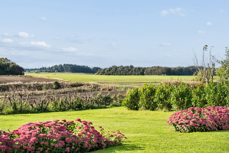 Property image number 5