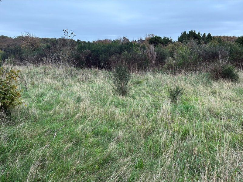 Property image number 1