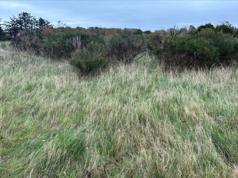 Property image number 2