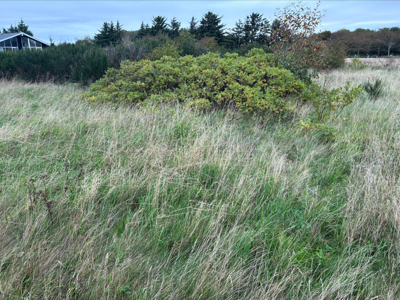 Property image number 3