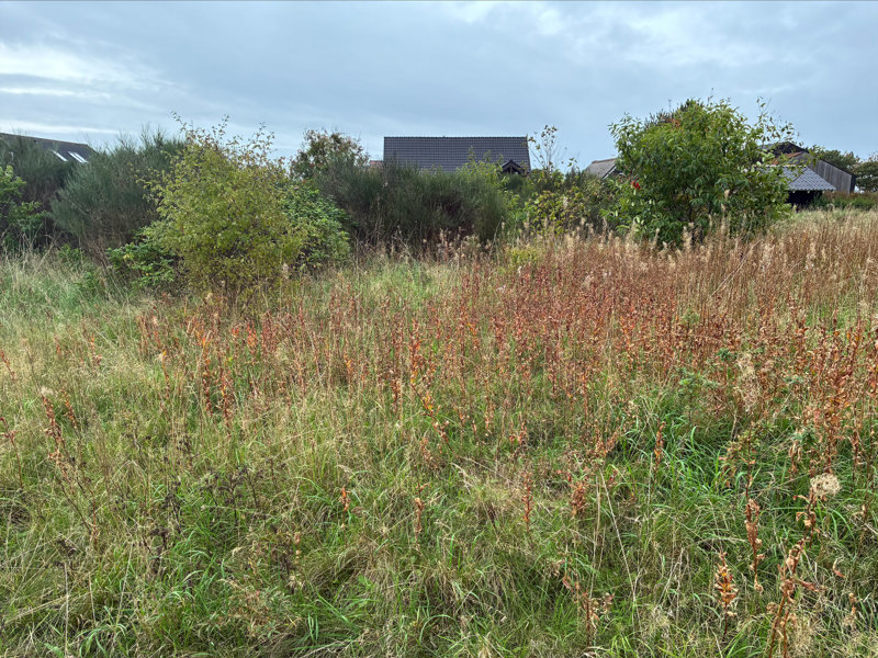 Property image number 4