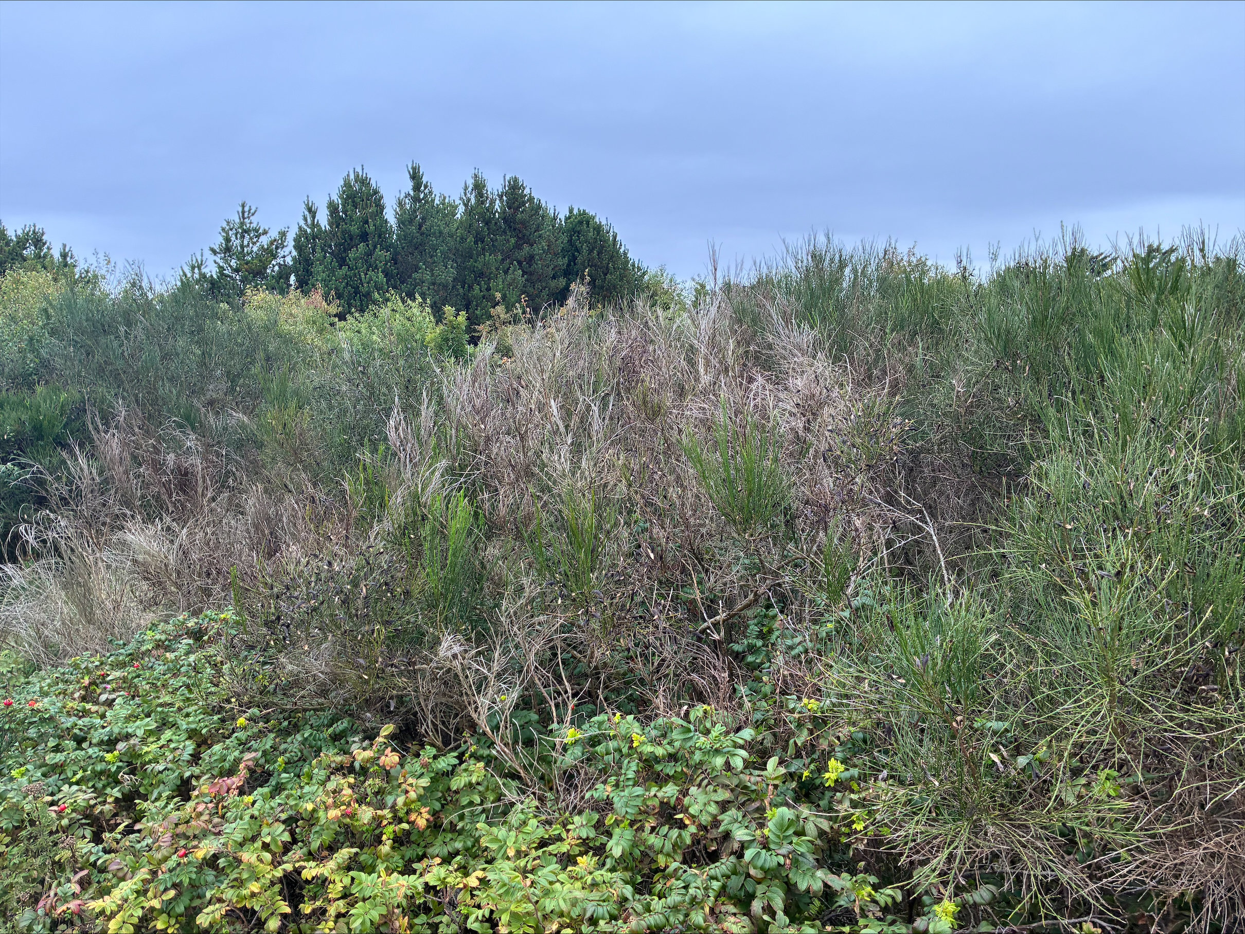 Terreno, 1028 m²