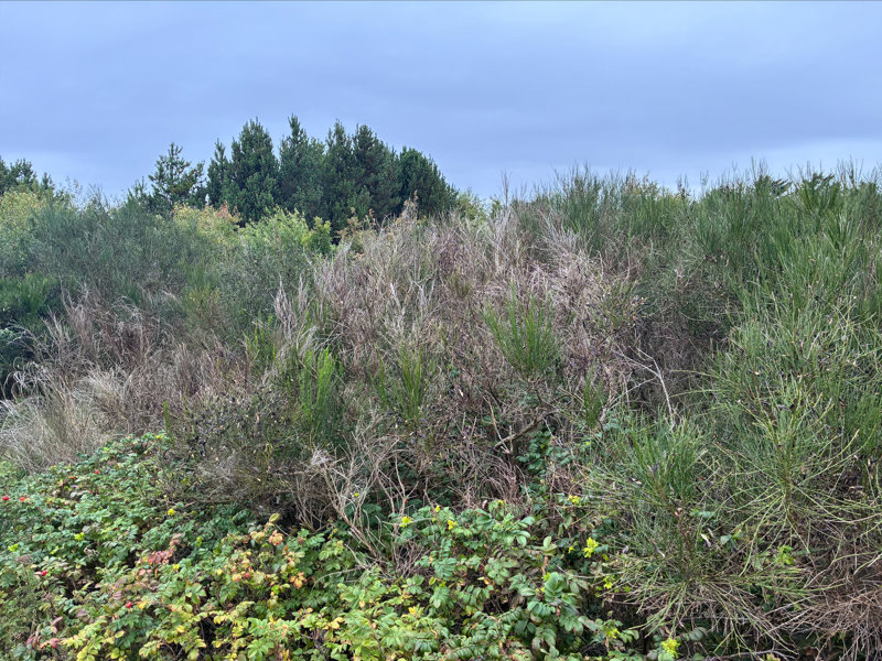 Property image number 1