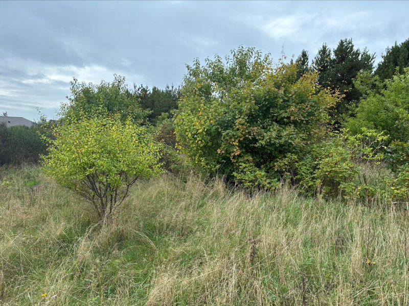 Property image number 2