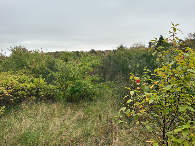 Property image number 3