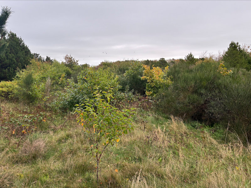 Property image number 4