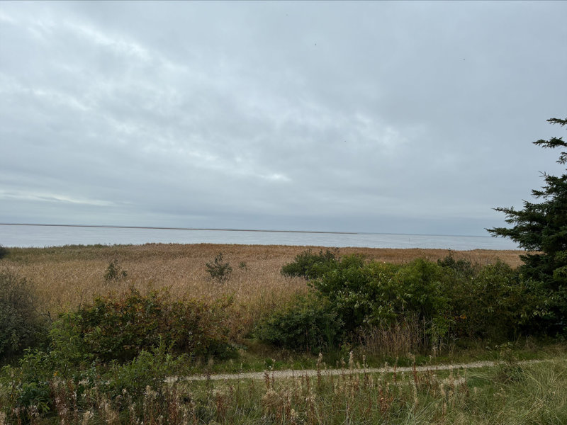 Property image number 7