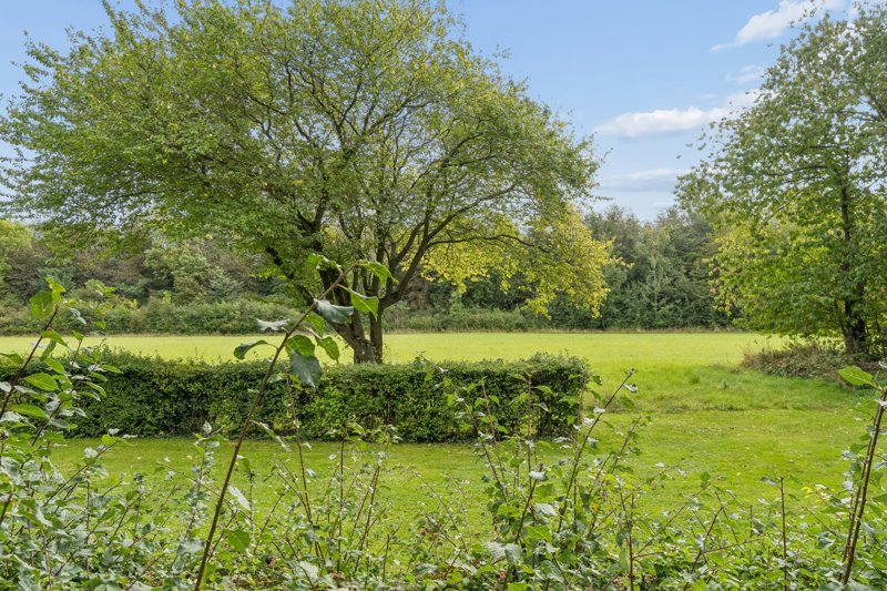 Property image number 4