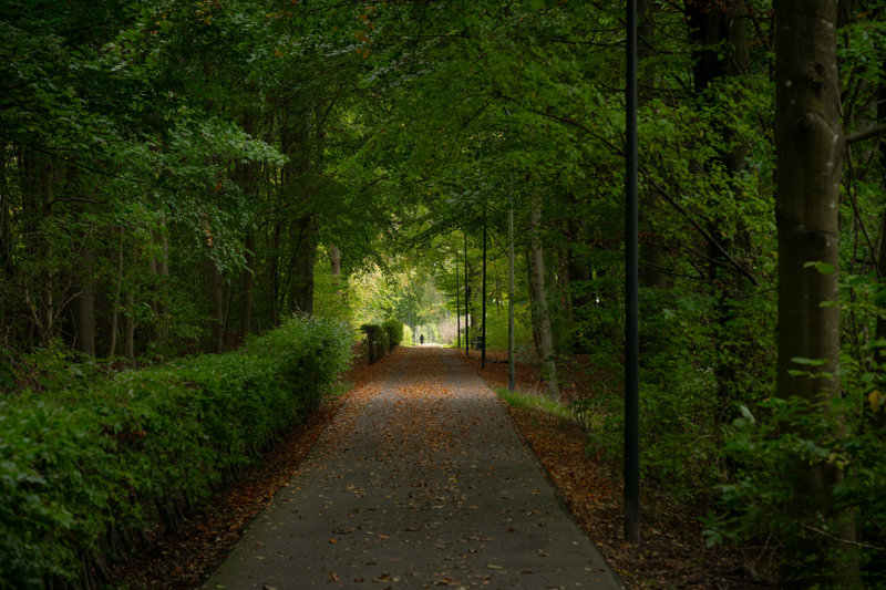 Property image number 3