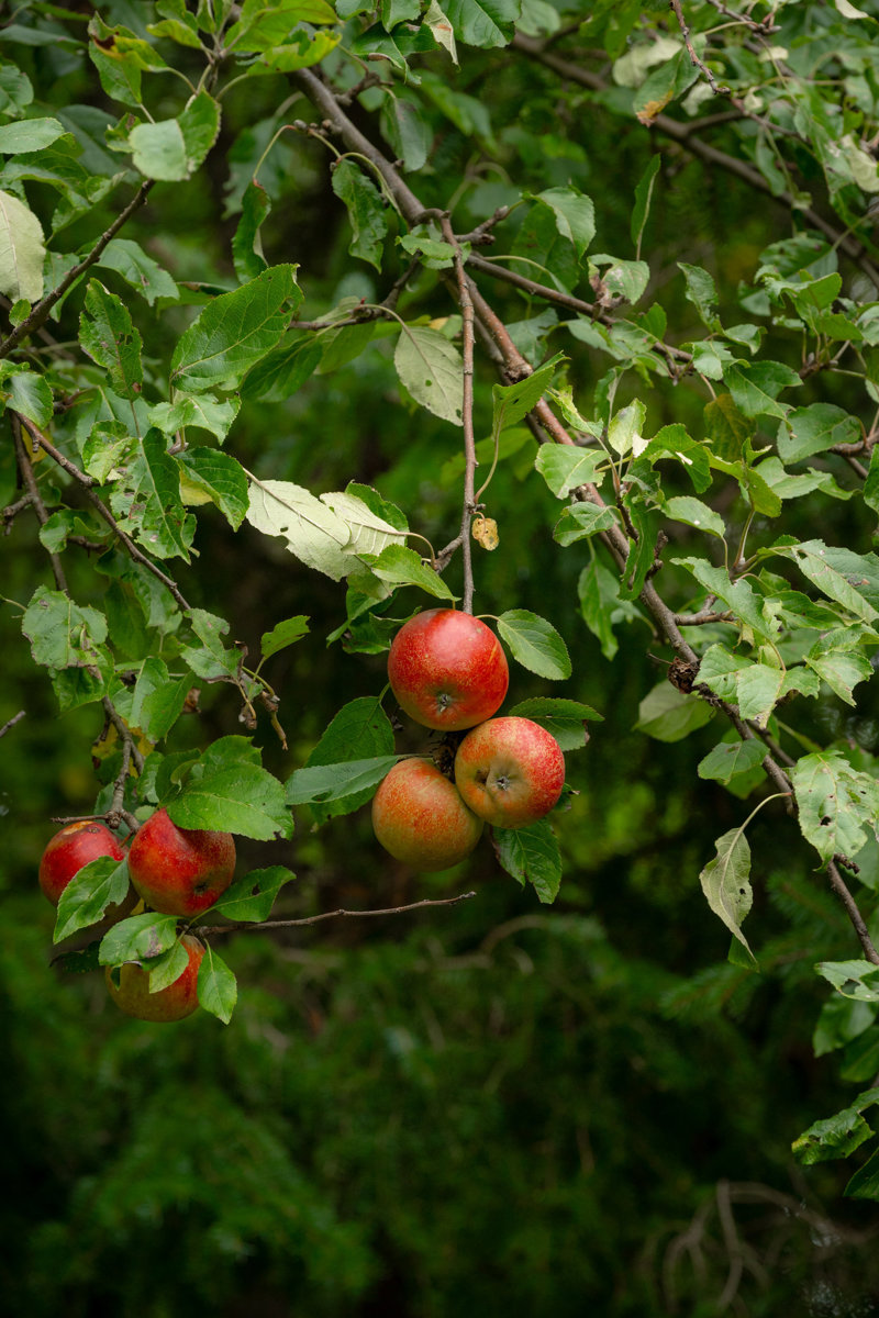 Property image number 7