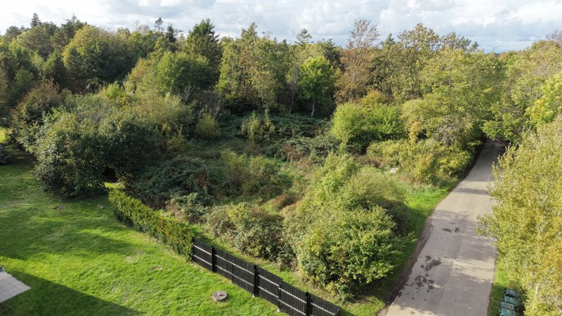 Property image number 6
